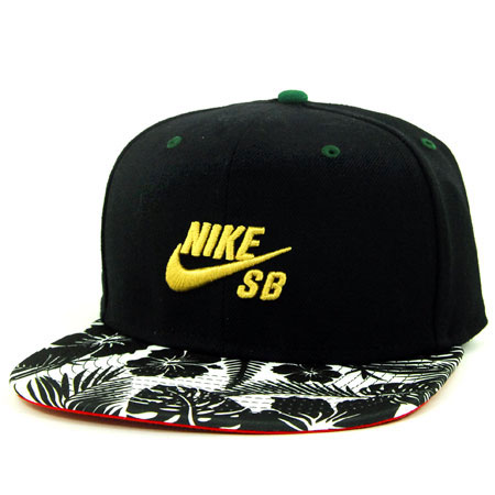 SPoT Digital Product Toss: Nike SB Black History Month Dunk Snapback Hat