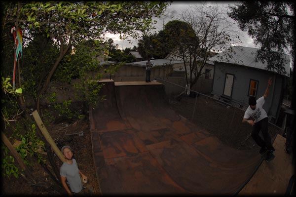Clements brought back feeble grinds