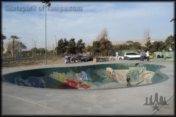 Bowl at the skate park in Chile