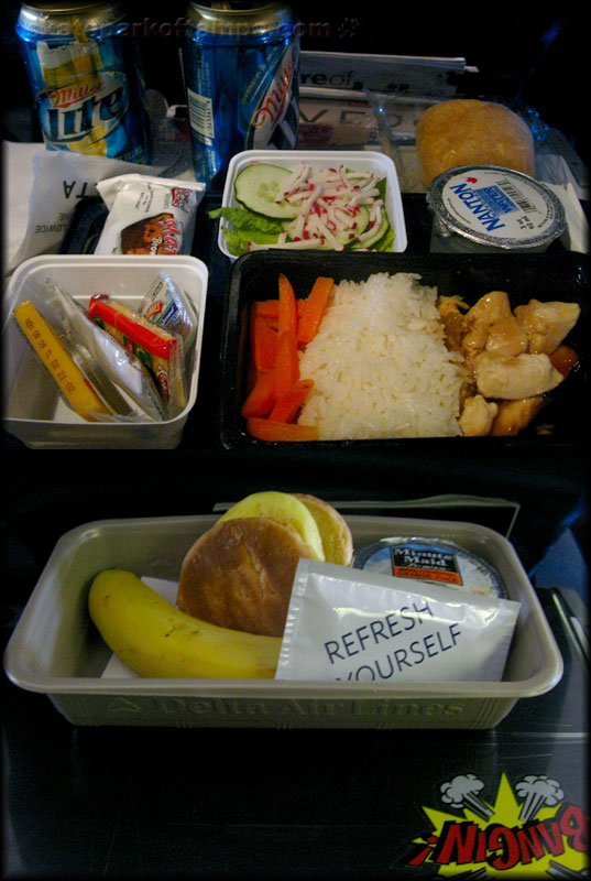 Two meals on a Delta coach flight to Copenhagen