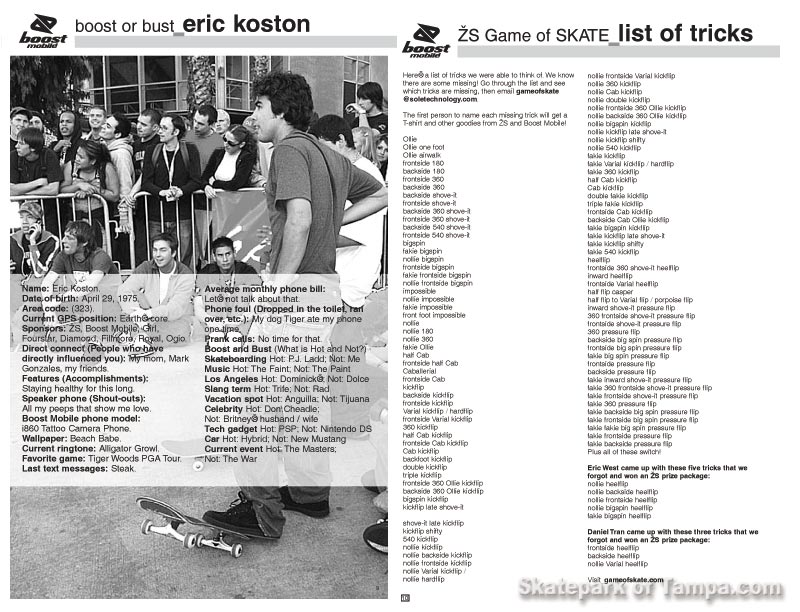 eS Game of SKATE 2005 Flyer