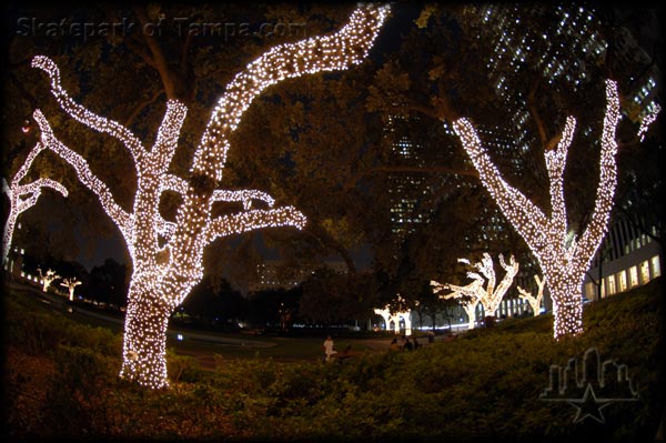 They carefully decorate the trees in lights