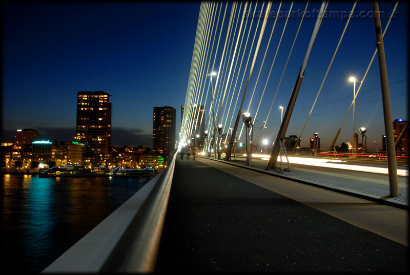 Rotterdam - skate across the bridge