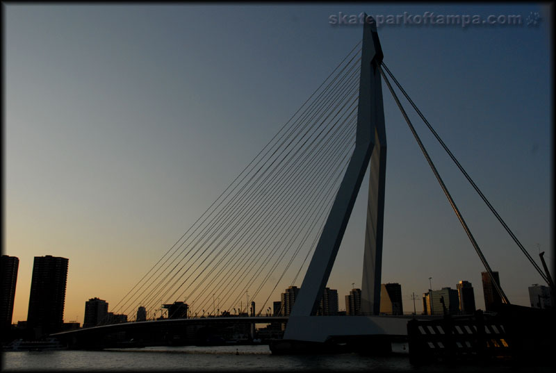 Rotterdam - the bridge