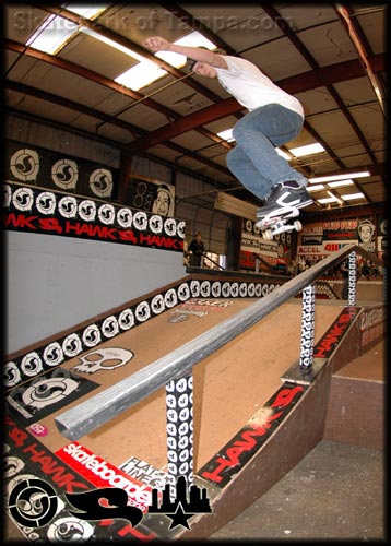 The Skate Guessing Game Photo #5