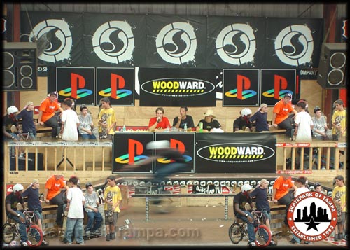 Woodward's Playstation Big Hook Up Contest