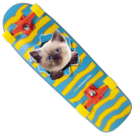 enjoi Kitten Ripper Soft Top Complete Skateboard in stock at SPoT Skate Shop