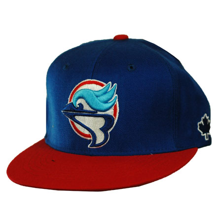 NEFF Ryan Decenzo Adjustable Snap-Back Hat in stock at SPoT Skate Shop