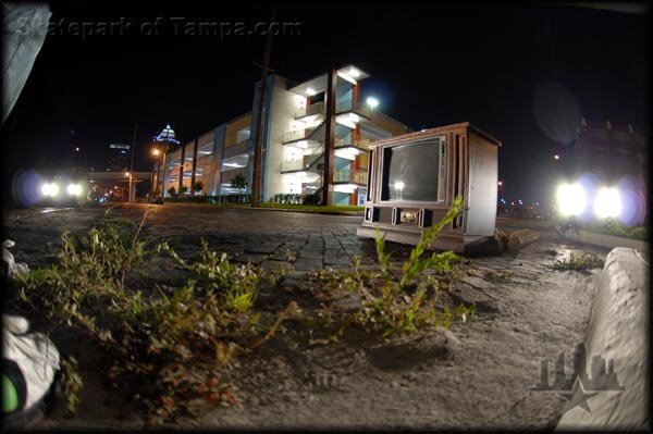 Turtle Ditch Ground — Skatepark of Tampa