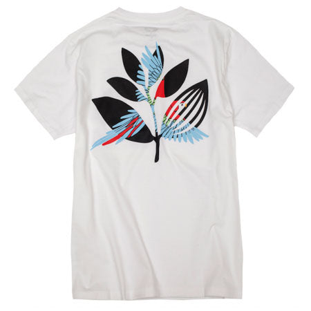 Magenta Parrot T-Shirt
