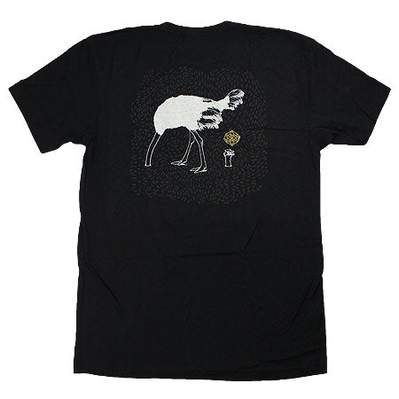 Theories Ostrich Effect T Shirt