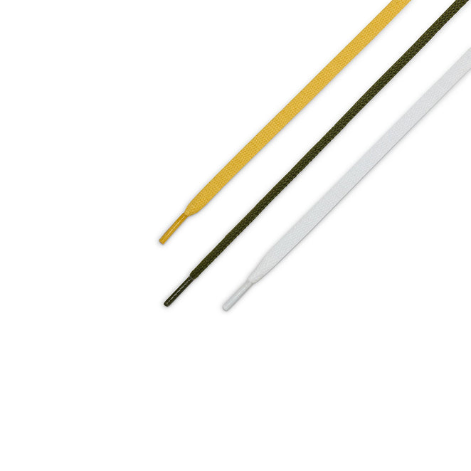 Nike SB Zoom Blazer Mid x Anti Hero QS Shoes