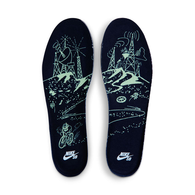 Nike SB Dunk Low Pro Premium Verdugo Mountain Shoes