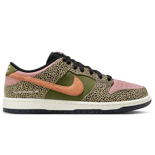Nike SB Dunk Low Pro Arts And Rec QS Shoes