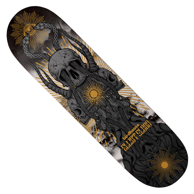 Birdhouse Elliot Sloan Provan Deck