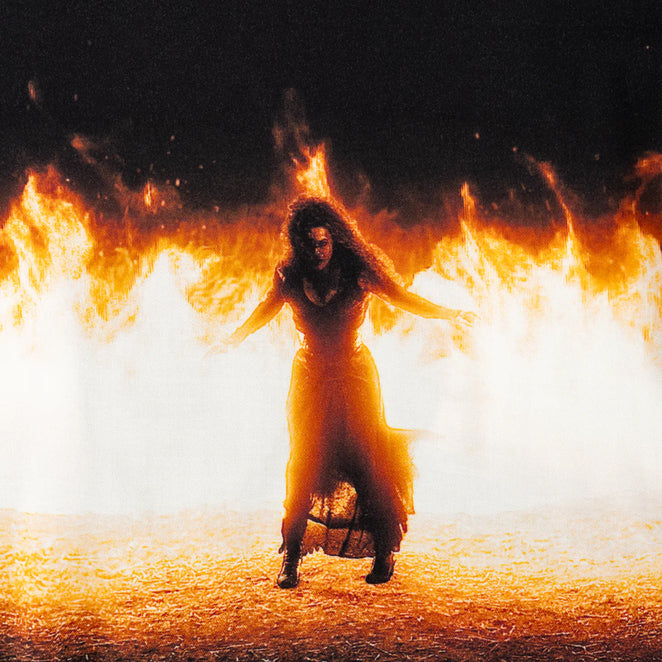 Welcome Skateboards x Harry Potter Burrow Burn Shirt