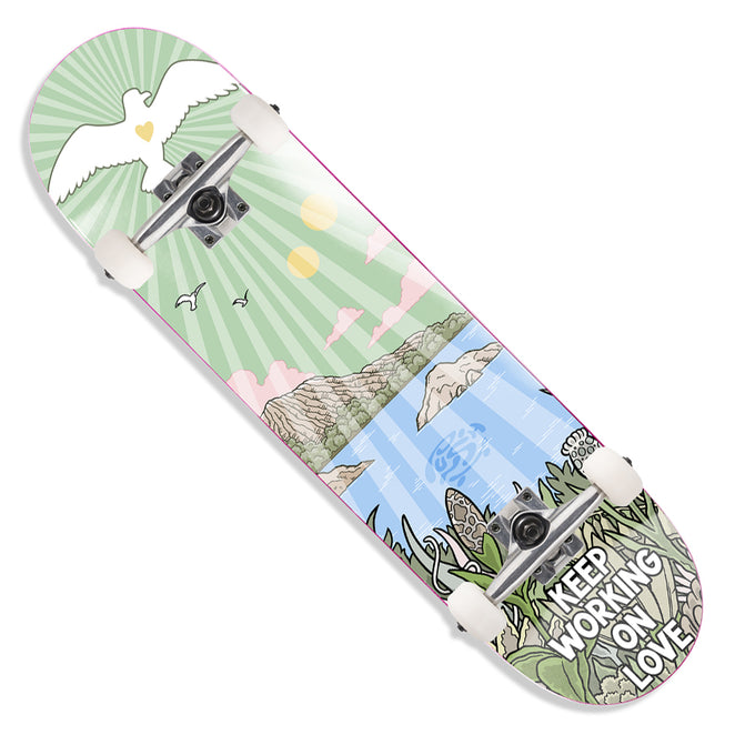 Push John Rattray Guest Pro Complete Skateboard