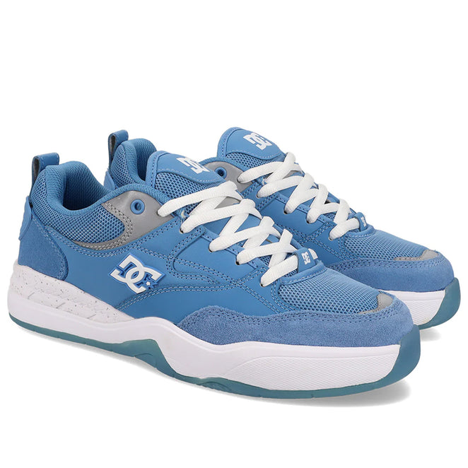 DC Shoe Co. Ascend Shoes