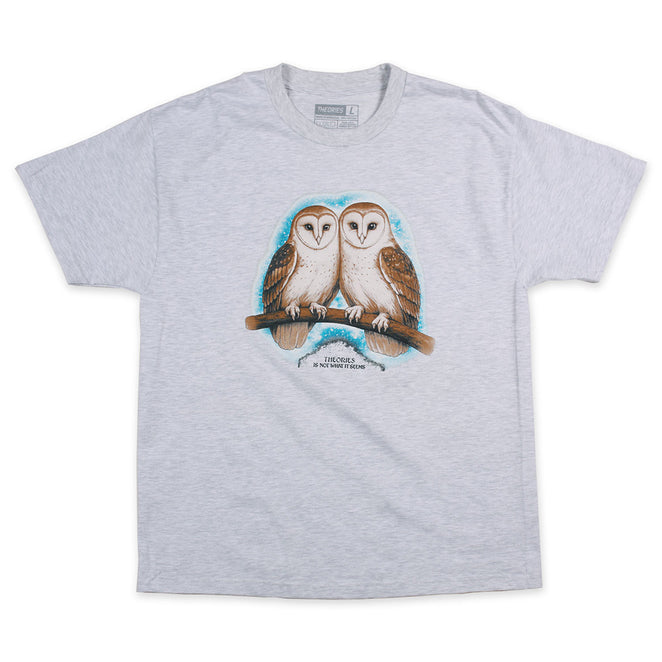 Theories Not What They Seem T Shirt