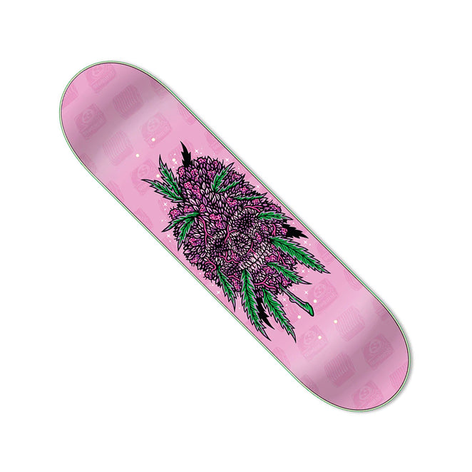 Reef Orlando Starburst Deck