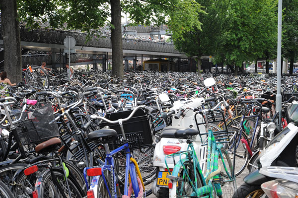 Amsterdam for Damn Am: Bikes