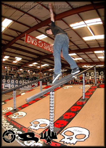 The Skate Guessing Game Photo #9