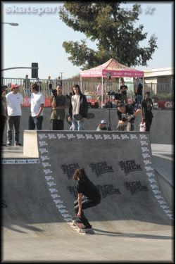 Dylan Rieder - that's how a boneless should look