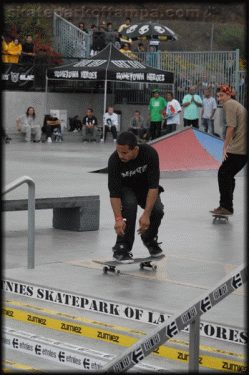 Manny Santiago - big spin boardslide