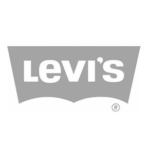 Levis Skate 513 Slim 5-Pocket Jeans, Western Edition