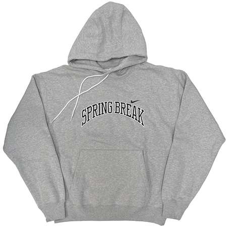 Nike SB Fleece Pullover Hooded Spring Break Sweatshirt in stock at SPoT  Skate Shop