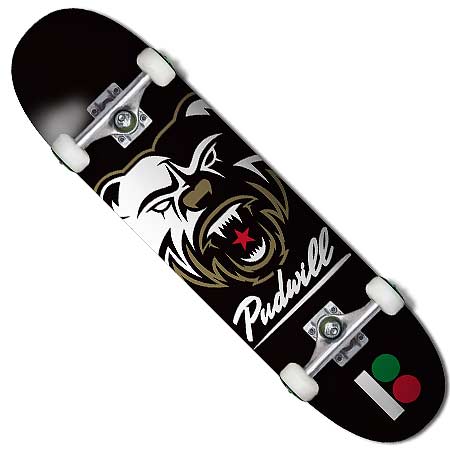 Plan B Torey Pudwill Bear Complete Skateboard in stock at SPoT Skate Shop